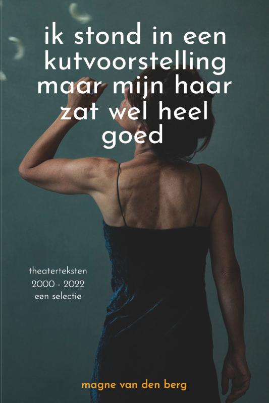 Omslag van ik stond in een kutvoorstelling maar mijn haar zat wel heel goed