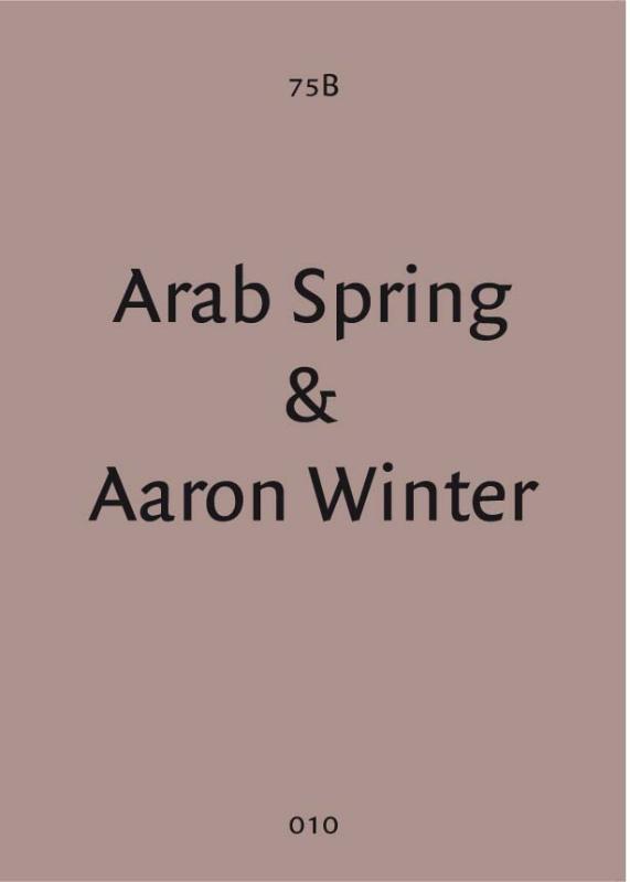 Omslag van Arab spring & aaron winter
