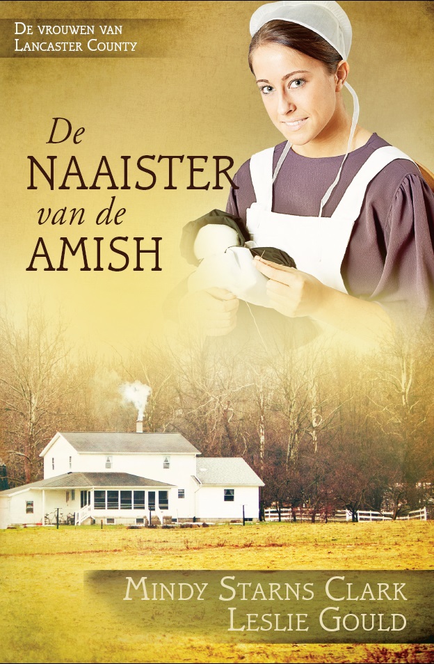 Omslag van De naaister van de Amish