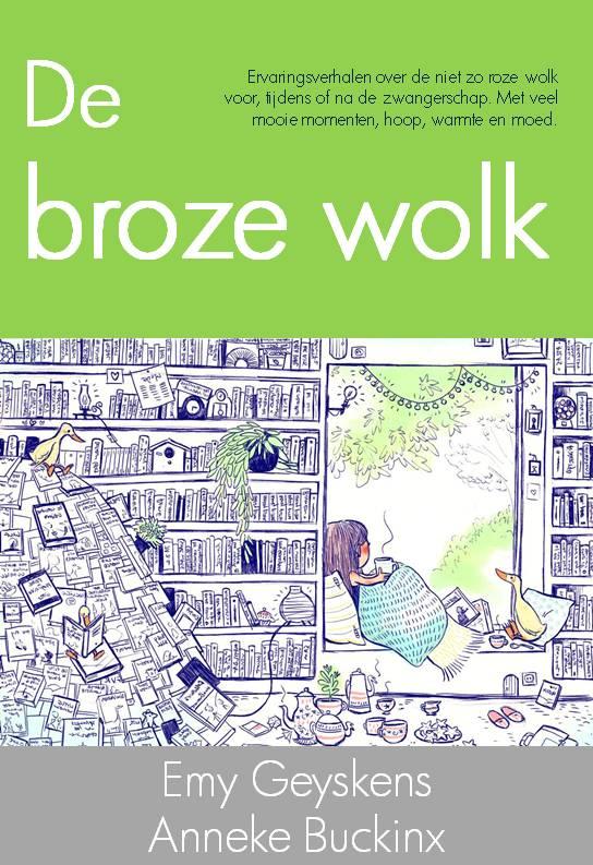 Omslag van De broze wolk
