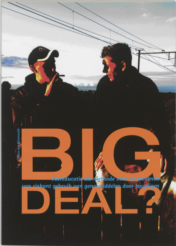 Omslag van Big Deal?