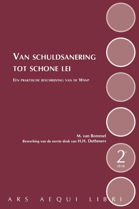 Omslag van Van schuldsanering tot schone lei