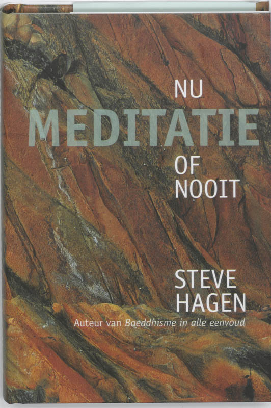 Omslag van Meditatie nu of nooit
