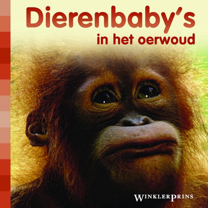 Omslag van WP Dierenbaby's in het oerwoud