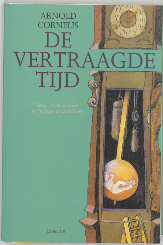 Omslag van De vertraagde tijd