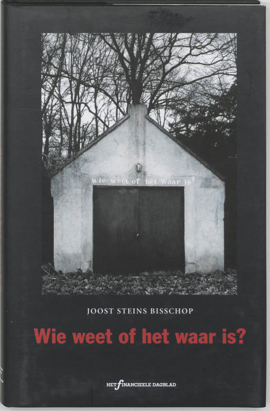 Omslag van Wie weet of het waar is?