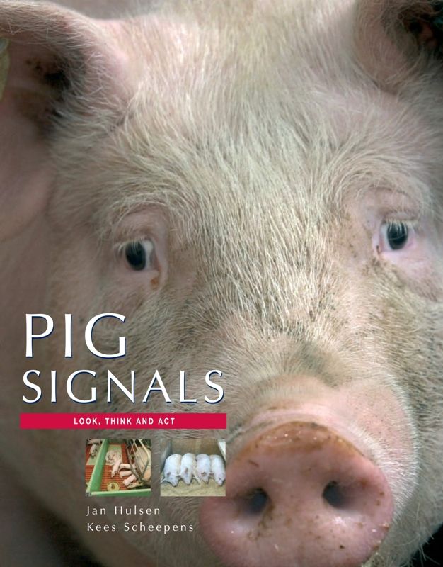Omslag van Pig Signals