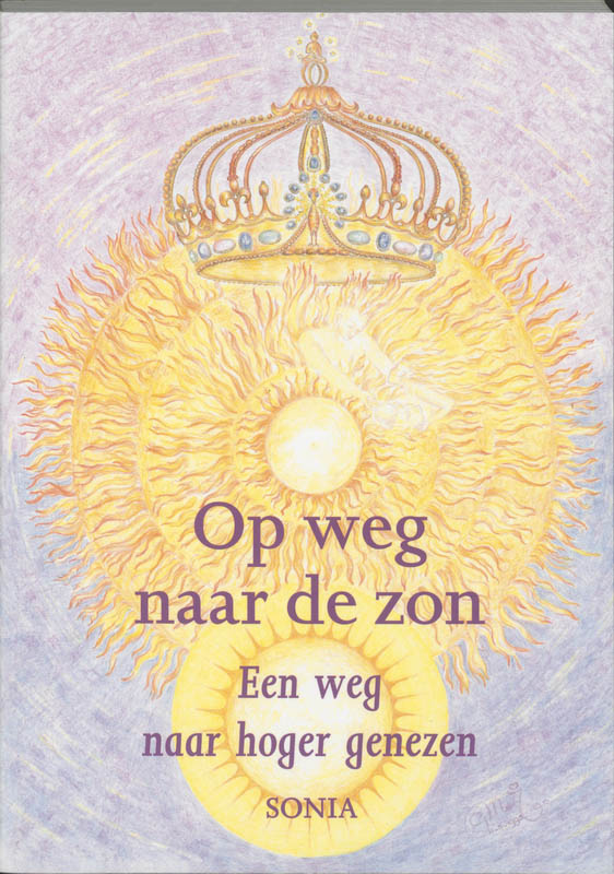 Omslag van Op weg naar de zon