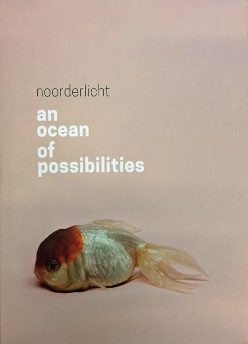 Omslag van An ocean of possibilities
