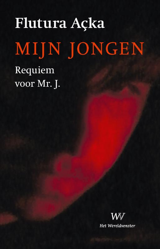 Omslag van Mijn jongen
