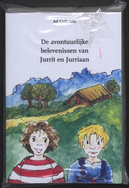 Omslag van De avontuurlijke belevenissen van Jurrit en Jurriaan