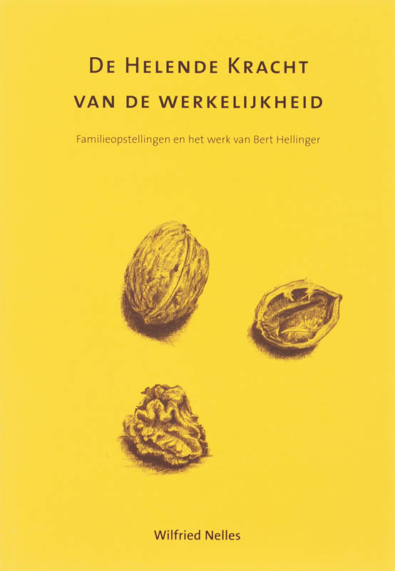 Omslag van De helende kracht van de werkelijkheid