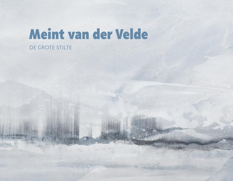Omslag van Meint van der Velde De grote stilte