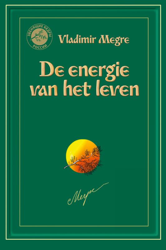 Omslag van De energie van het leven