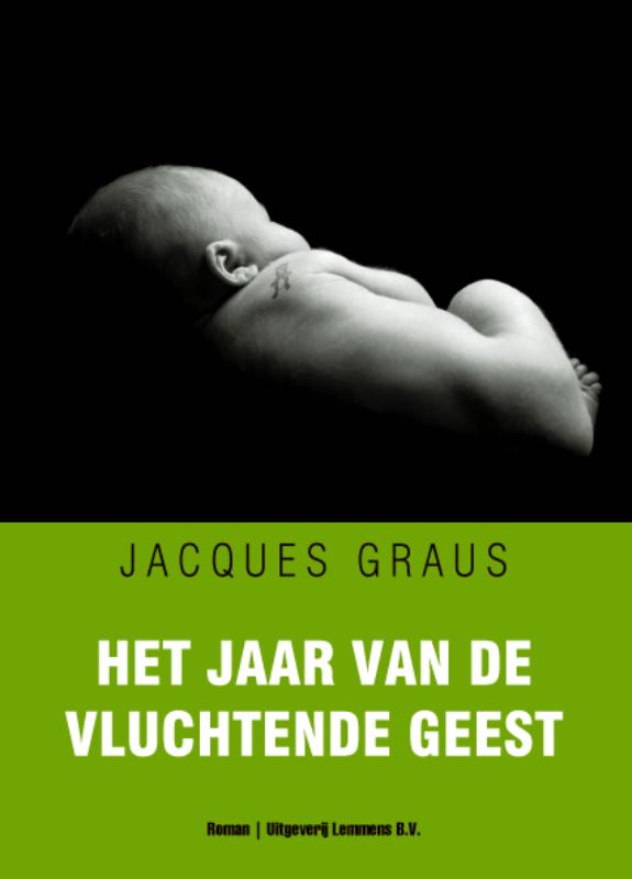 Omslag van Het jaar van de vluchtende geest