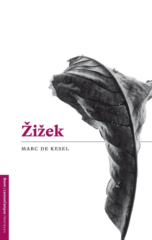Omslag van Zizek