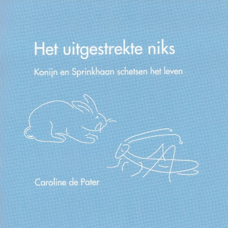 Omslag van Het uitgestrekte niks