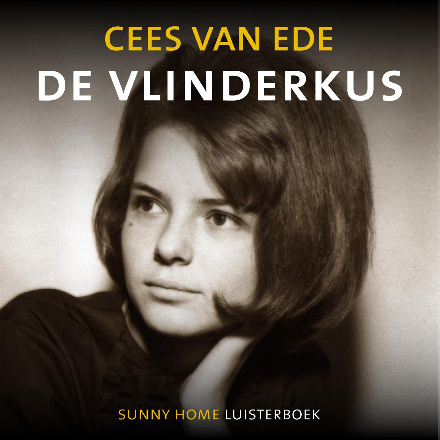 Omslag van De vlinderkus