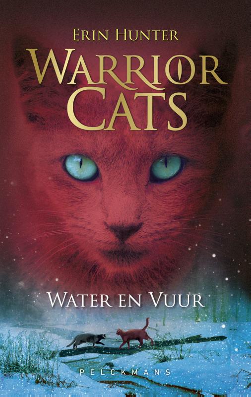 Omslag van Water en vuur