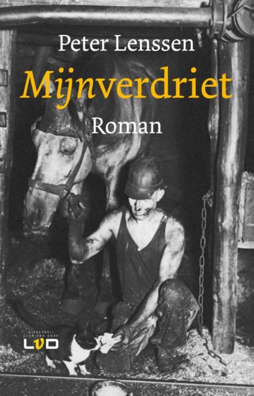 Omslag van Mijnverdriet
