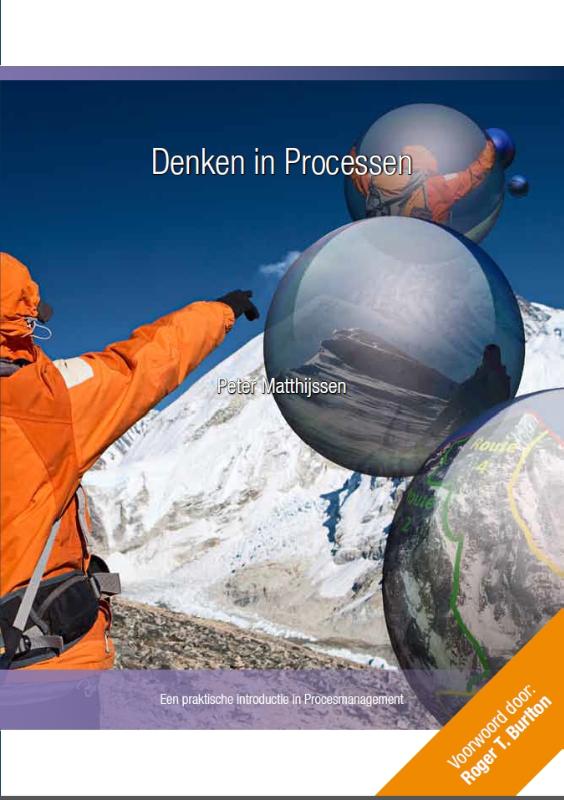 Omslag van Denken in processen