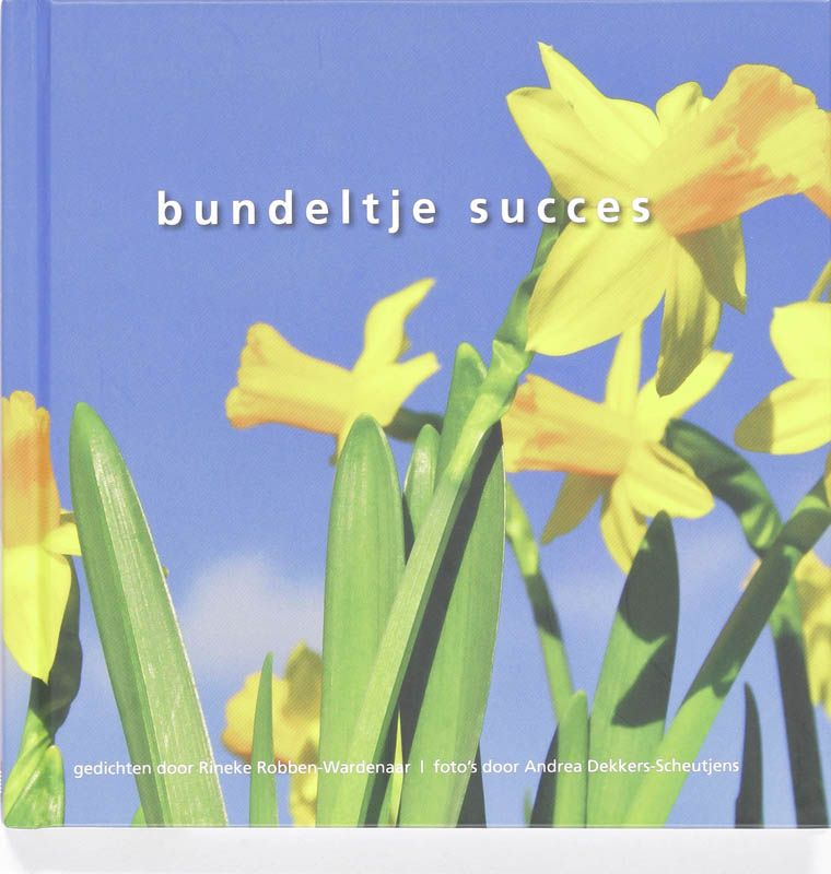 Omslag van Bundeltje Succes