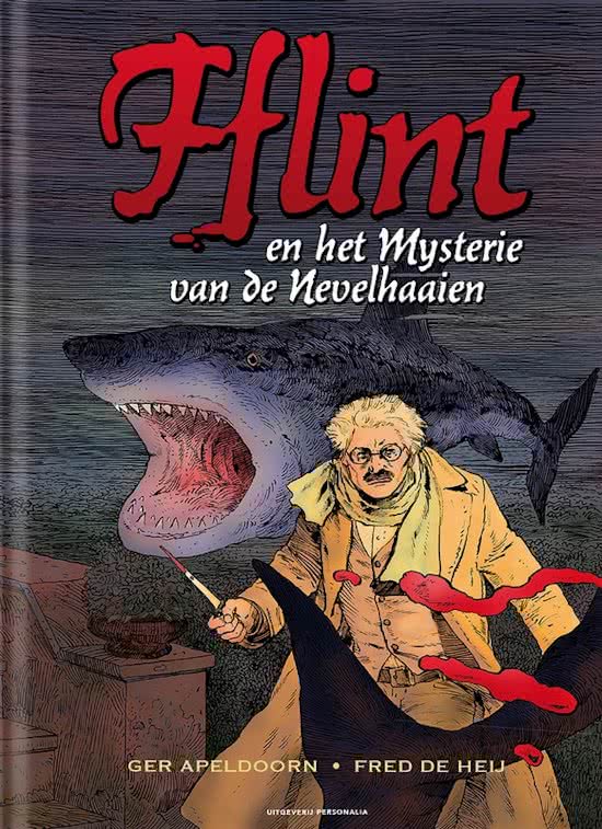 Omslag van Fflint