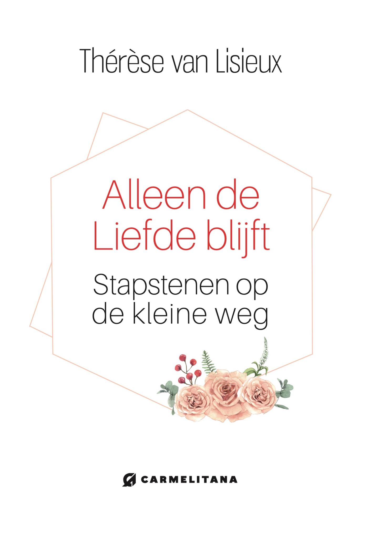 Omslag van Alleen de liefde blijft