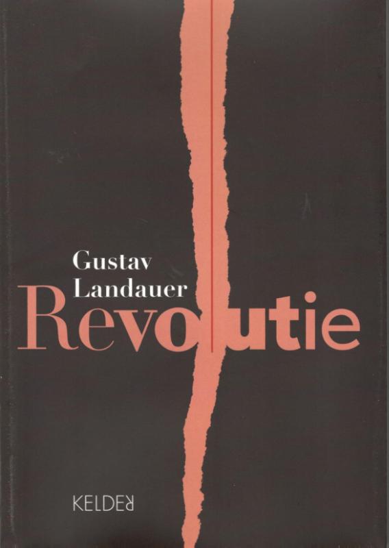 Omslag van Revolutie