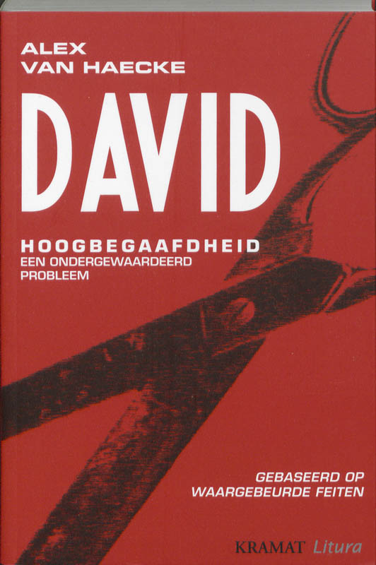 Omslag van David