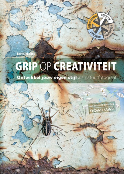 Omslag van Grip op creativiteit