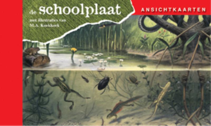 Omslag van In Ons Land
