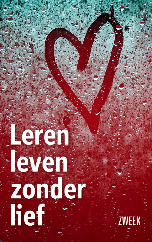 Omslag van Leren leven zonder lief