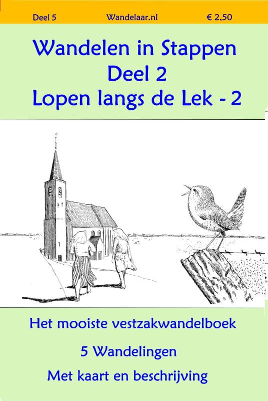 Omslag van Wandelen instappen