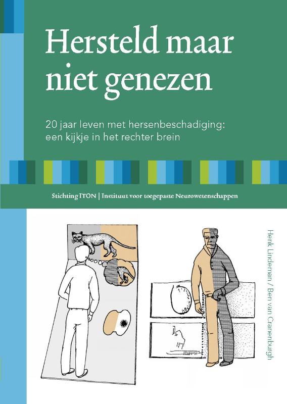 Omslag van Hersteld maar niet genezen