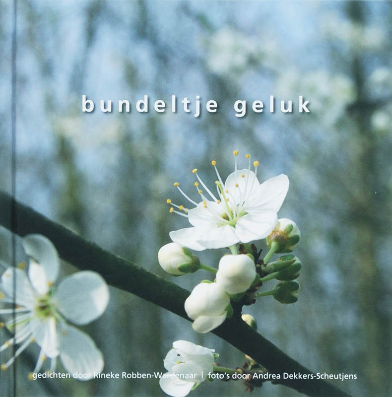 Omslag van Bundeltje geluk