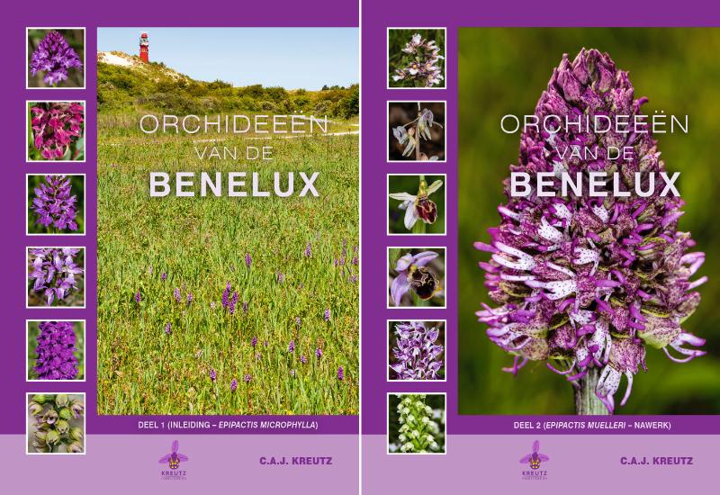 Omslag van Orchideeën van de Benelux