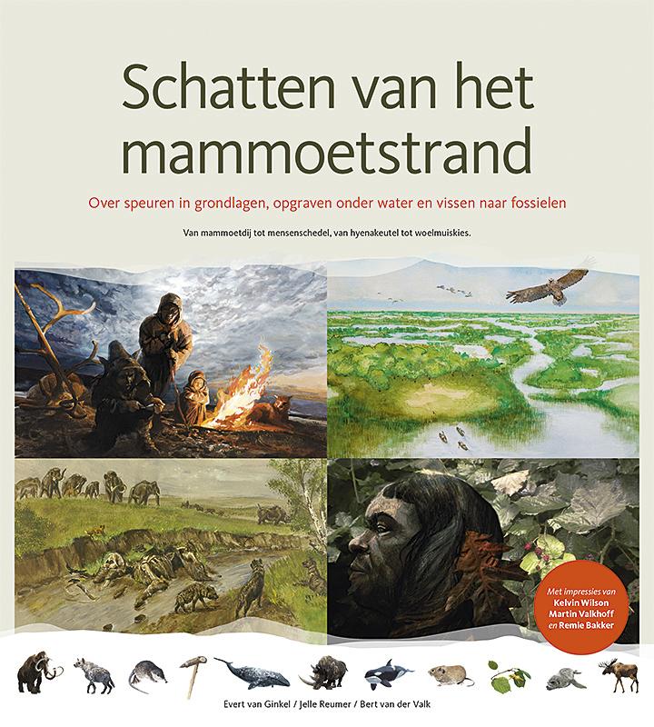 Omslag van Schatten van het mammoetstrand