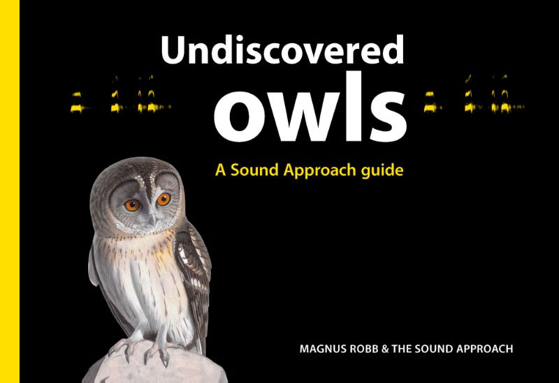 Omslag van Undiscovered owls