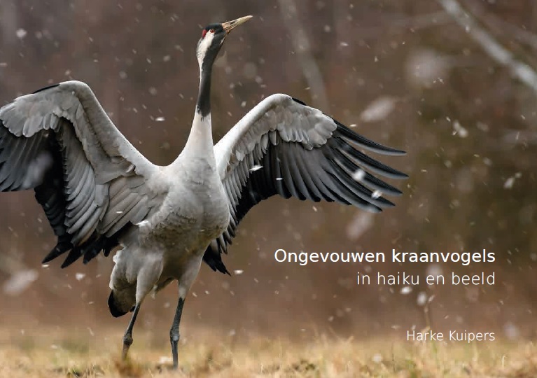 Omslag van Ongevouwen kraanvogels