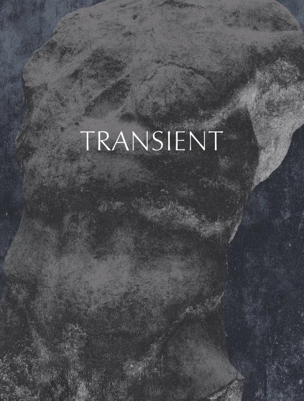 Omslag van Transient