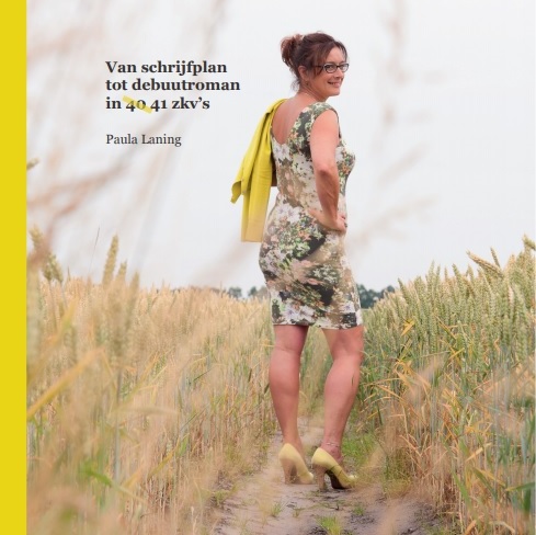 Omslag van Van schrijfplan tot debuutroman in 40 41 zkv's