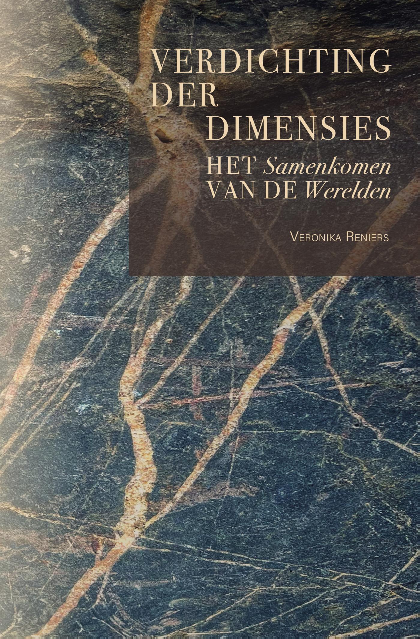 Omslag van Verdichting der dimensies