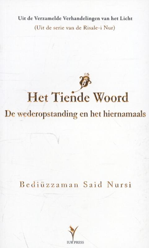 Omslag van Het tiende woord