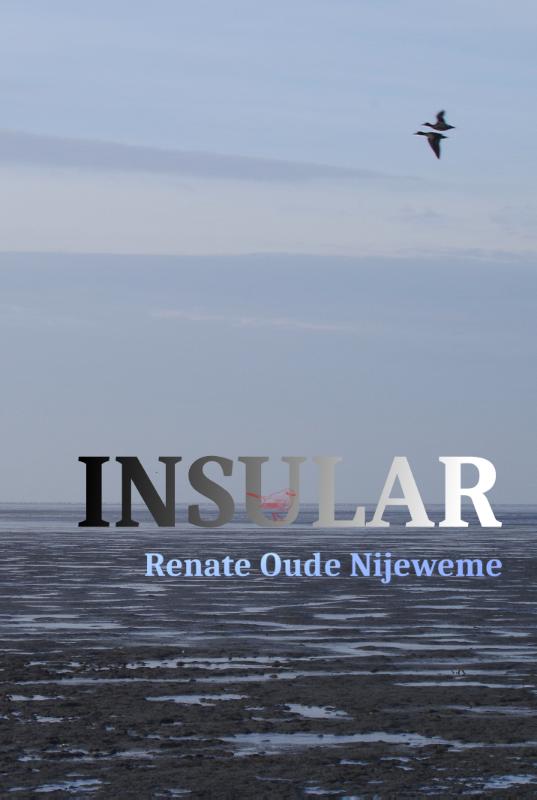 Omslag van Insular