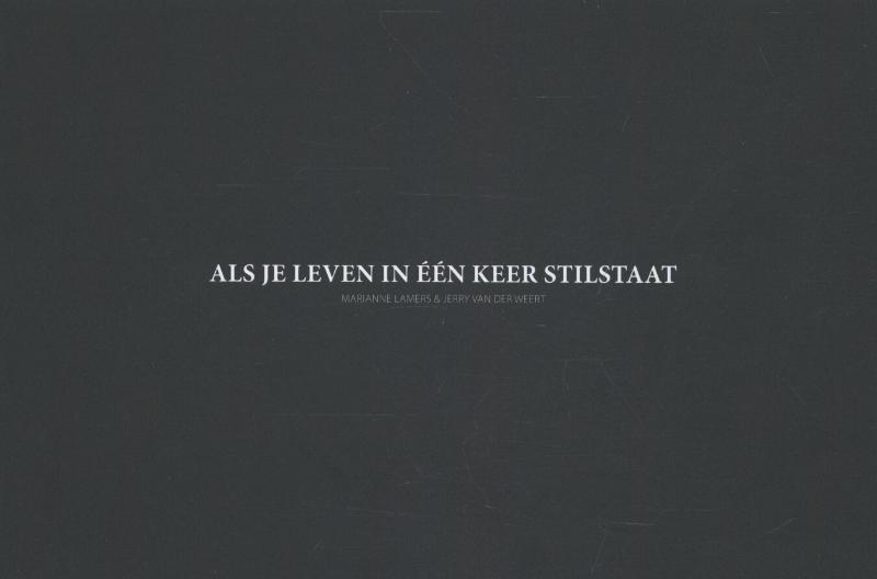 Omslag van Als je leven in een keer stil staat