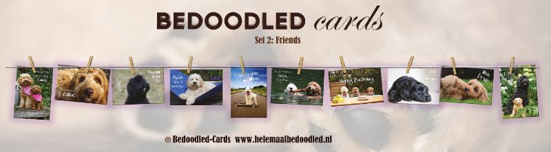Omslag van Bedoodled®-Cards wenskaarten