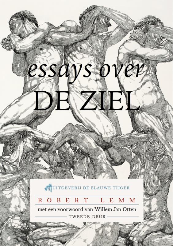 Omslag van Essays over de ziel