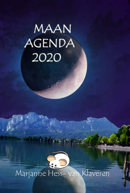 Omslag van 2020