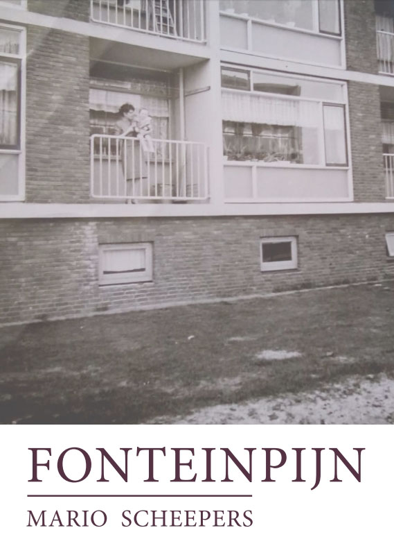 Omslag van Fonteinpijn